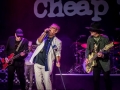 CHEAP TRICK