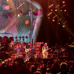 DEAD & COMPANY