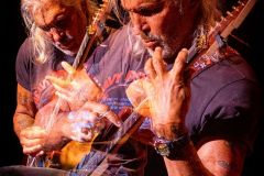 dokken8