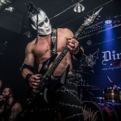 DOYLE AT DINGBATZ