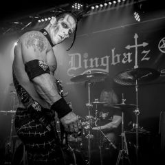 DOYLE AT DINGBATZ