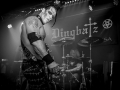 DOYLE AT DINGBATZ