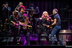 SPRINGSTEEN-METLIFE