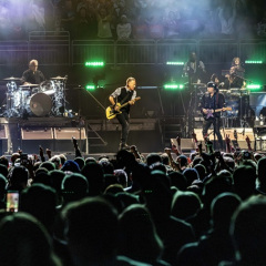 bruce15