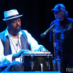 THE WILD, THE INNOCENT & THE E STREET SHUFFLE