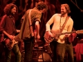 THE MAGPIE SALUTE