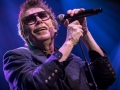 THE PSYCHEDELIC FURS