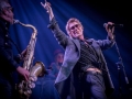 THE PSYCHEDELIC FURS