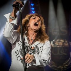 WHITESNAKE