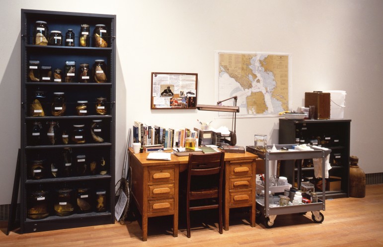Mark Dion's "Department of Marine Animal Identification of the City of San Francisco (Chinatown Division)."