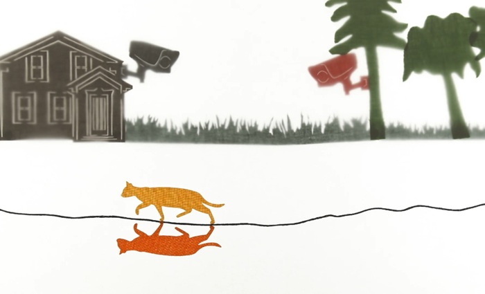 A cat goes missing in inventive short film, '35 Days,' to be shown at New Jersey Film Festival